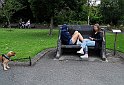 Dublin park2